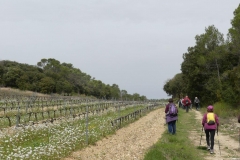 024 dans les vignes