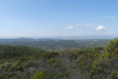 018 panorama