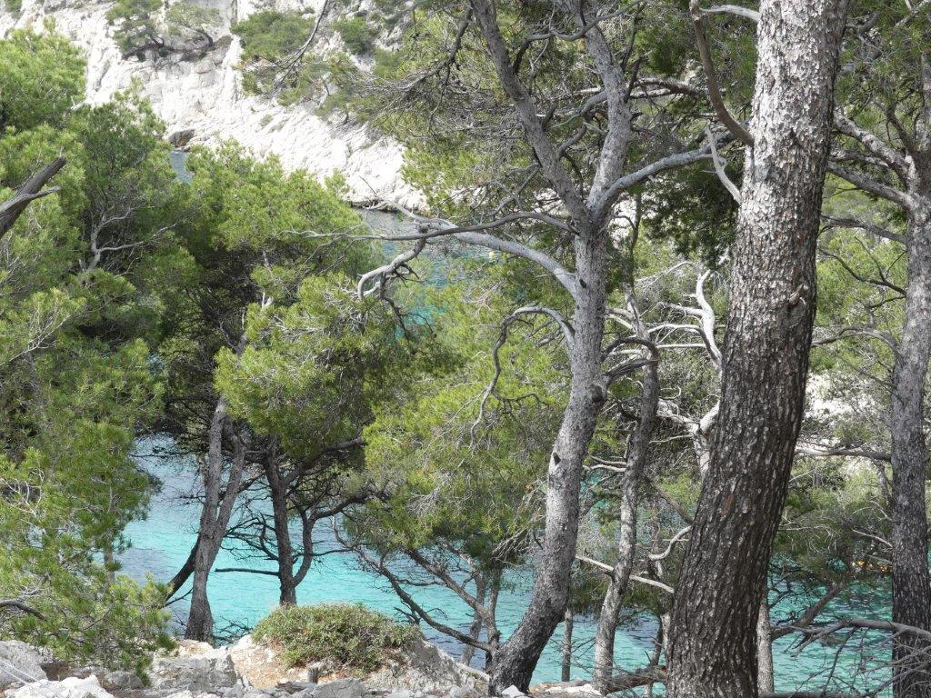 029 Calanque de Port Pin