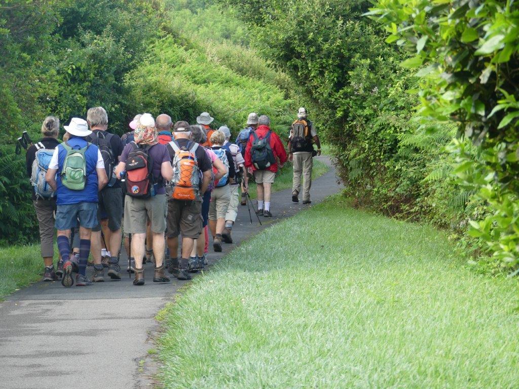 006 sur le chemin du littoral