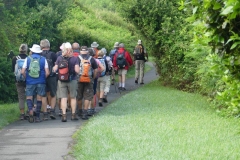 006 sur le chemin du littoral