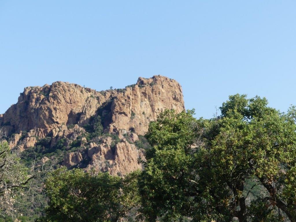 008 rochers et verdure